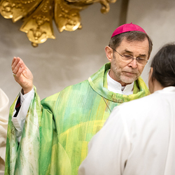 Erzdiözese Wien/Schönlaub