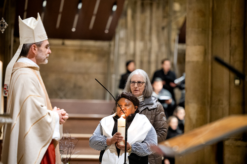Feier der Osternacht 2026 / Erzdiözese Wien/Schönlaub, Stephan Schönlaub