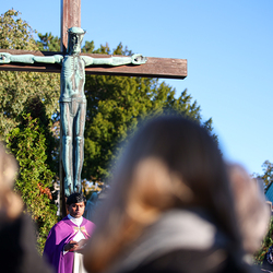Erzdiözese Wien/Schönlaub